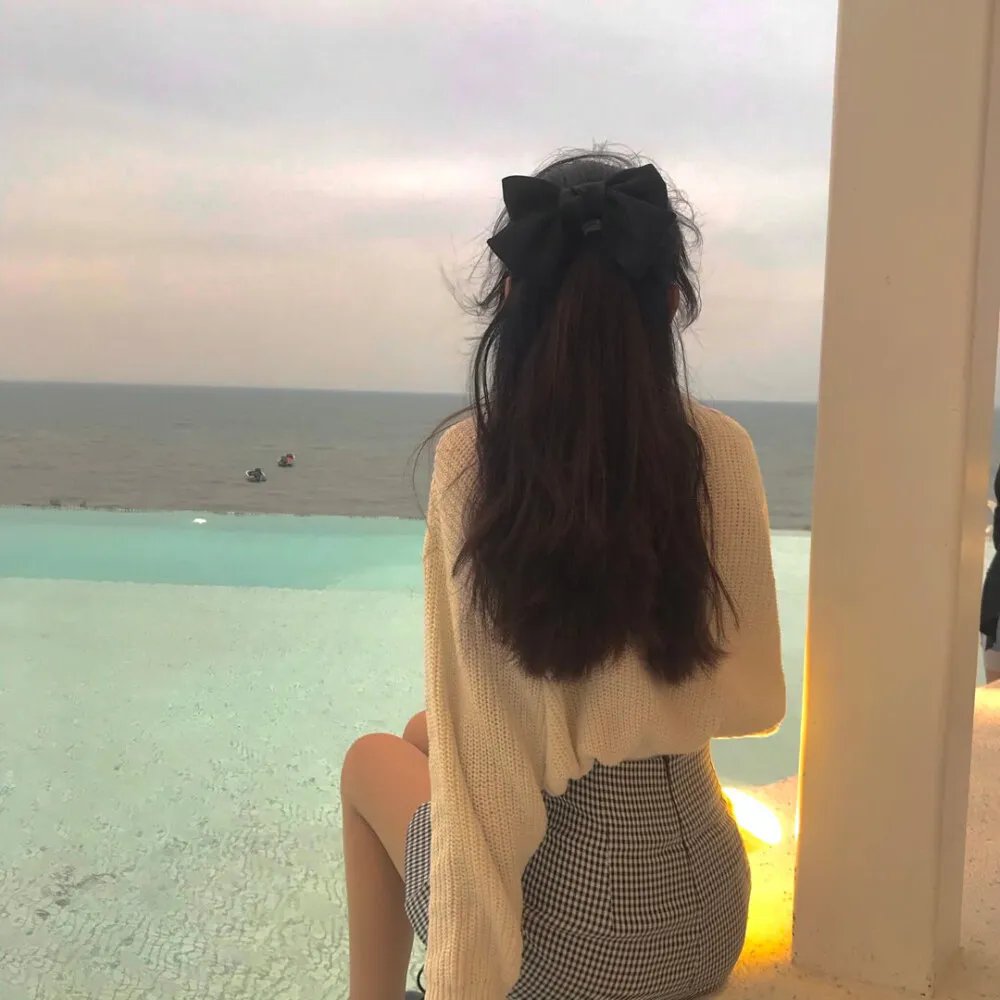 北风和太阳的法庭封面